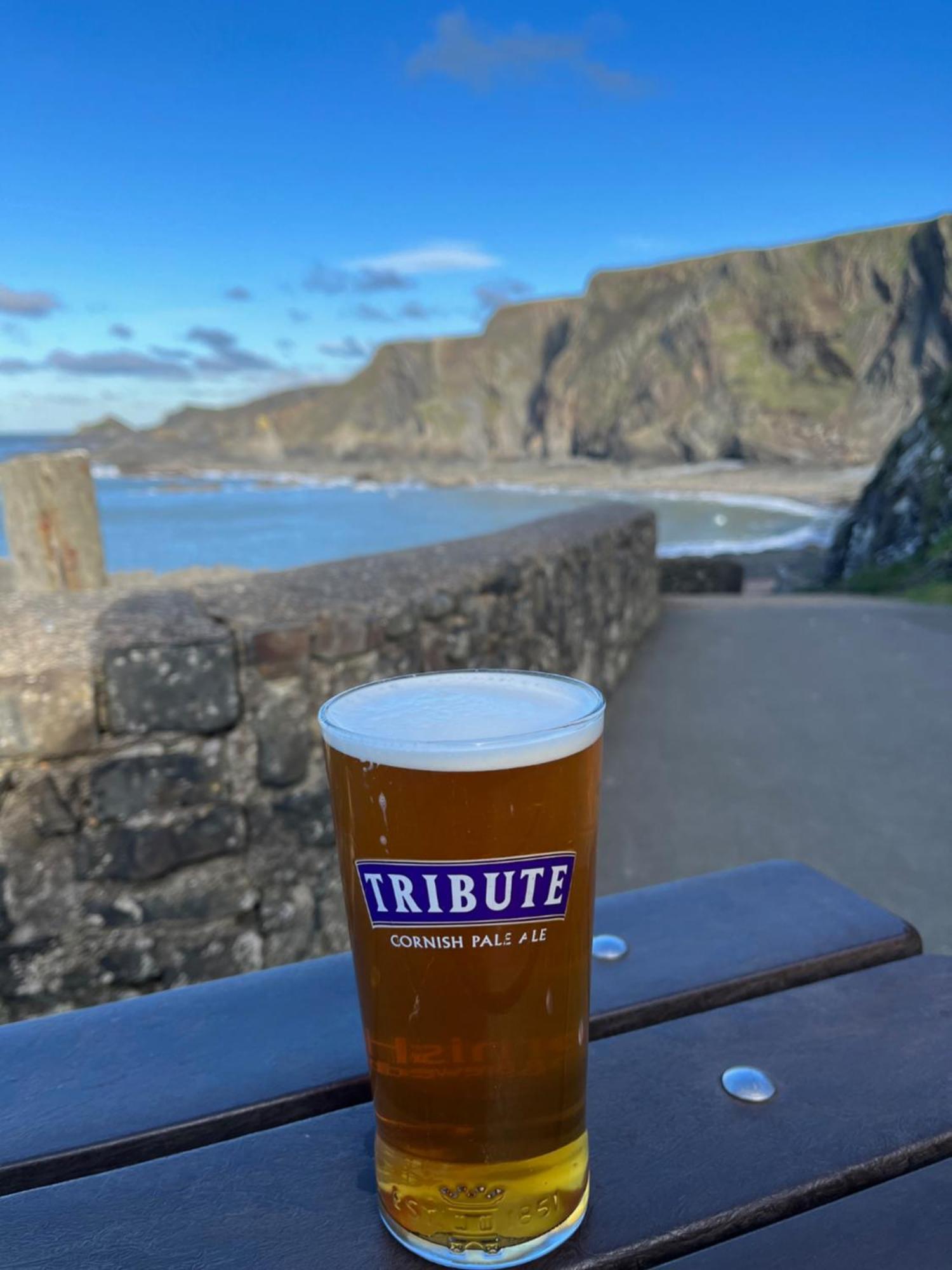 Hartland Quay Hotel Εξωτερικό φωτογραφία
