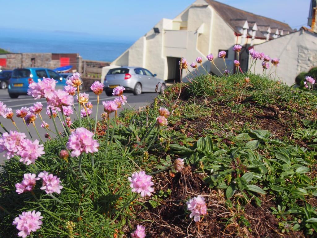 Hartland Quay Hotel Δωμάτιο φωτογραφία